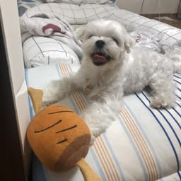 장정민의 프로필 이미지