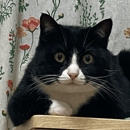 홍세정의 프로필 이미지