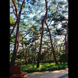 임지현의 프로필 이미지