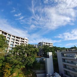 노경미의 프로필 이미지