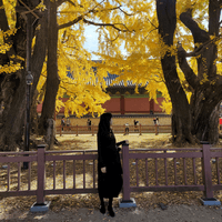 윤소희의 프로필 이미지