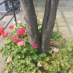 이주희의 프로필 이미지