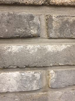 정주용의 프로필 이미지