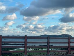 주보배의 프로필 이미지