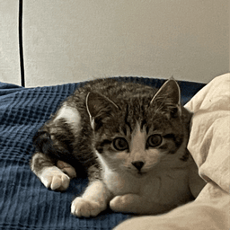 이지혜의 프로필 이미지