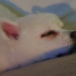 김봄의 프로필 이미지