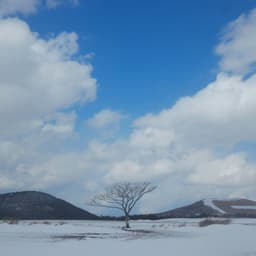 김민철의 프로필 이미지