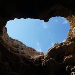 유용석의 프로필 이미지