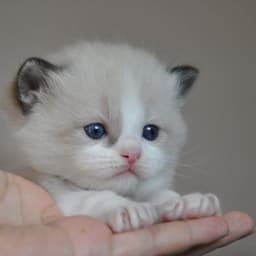 황윤림의 프로필 이미지