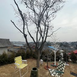 lunajang의 프로필 이미지