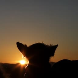 최희정의 프로필 이미지