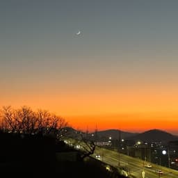 황은화의 프로필 이미지