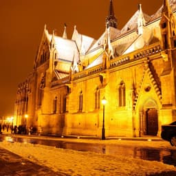 제승우의 프로필 이미지