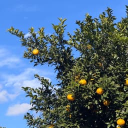 박진주의 프로필 이미지