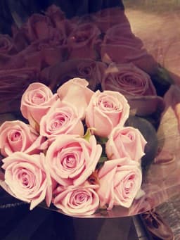 김나희의 프로필 이미지