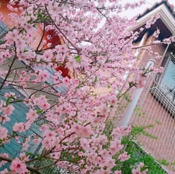 송윤서의 프로필 이미지